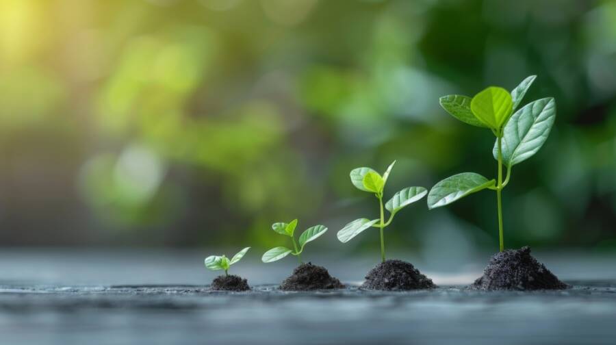 change your therapist