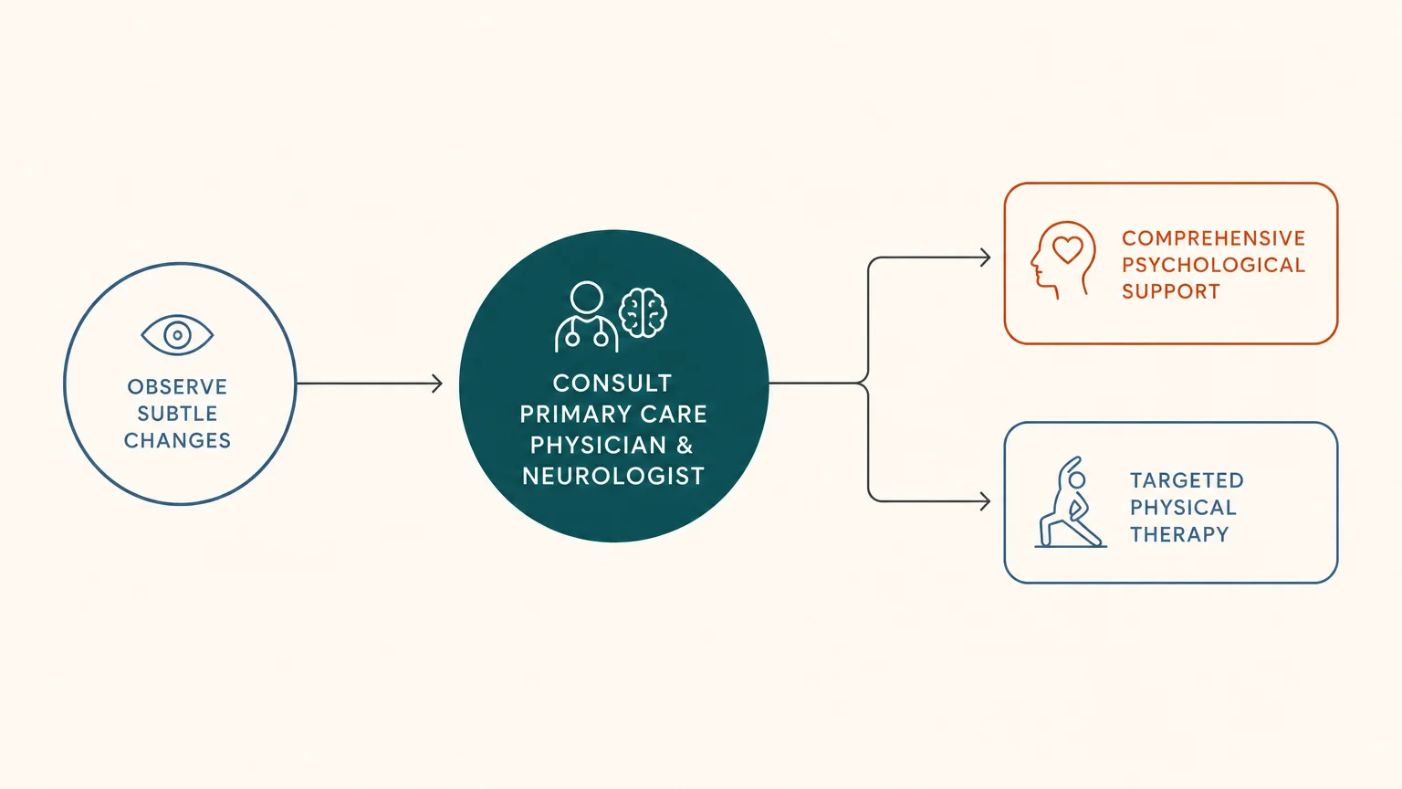 A clean, horizontal flowchart showing the steps from observing symptoms to consulting a physician, neurologist, and therapists.