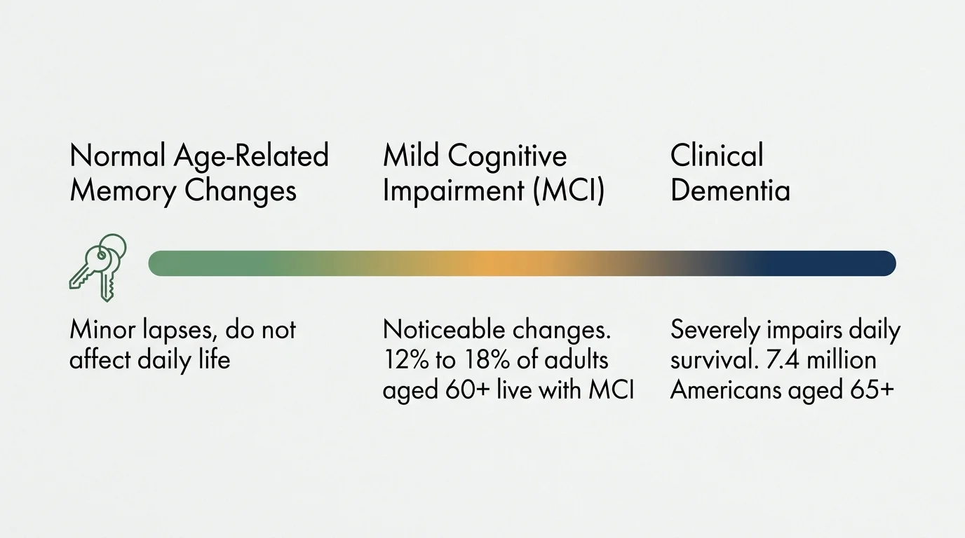 A clean horizontal infographic comparing Normal Memory Changes, Mild Cognitive Impairment, and Clinical Dementia with verbatim statistics.