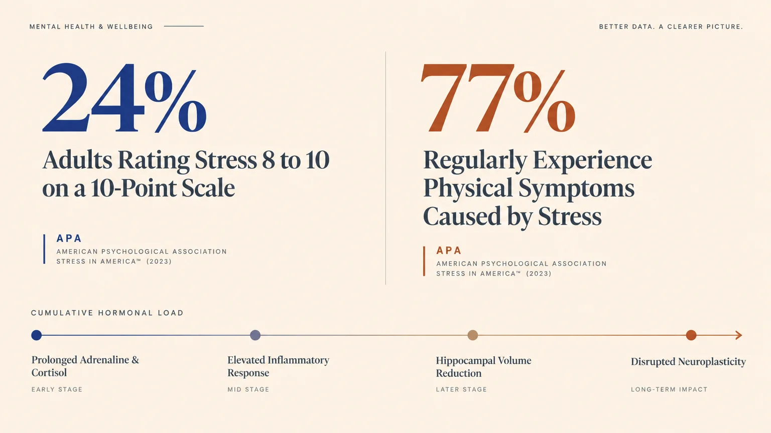 Infographic showing stress statistics of 24% and 77% above a timeline of cumulative hormonal load from early to long-term impact.