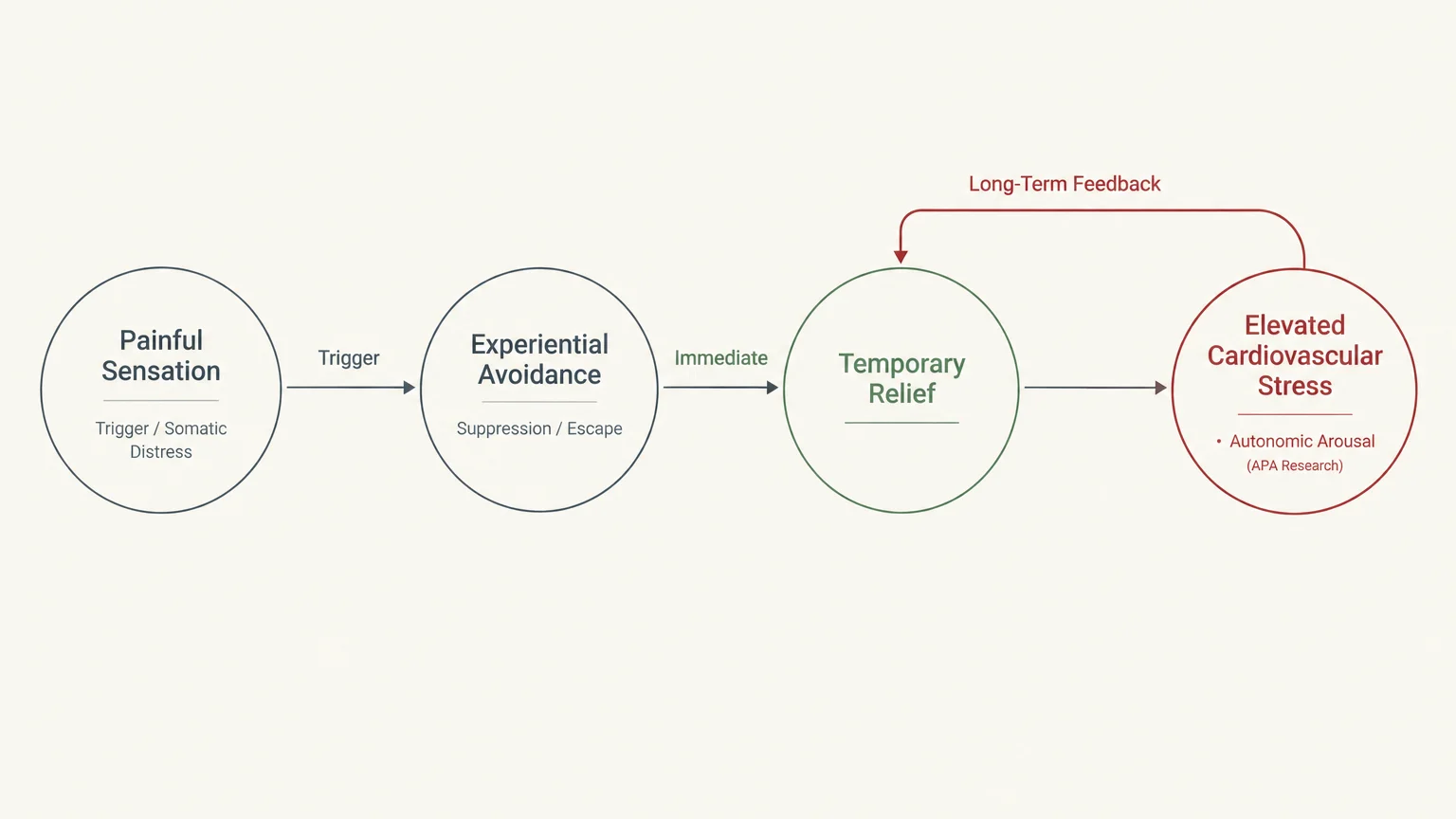 Flowchart diagram showing painful sensation leading to experiential avoidance, temporary relief, and elevated cardiovascular stress.