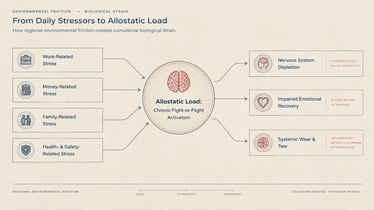 Flowchart linking four categories of daily stressors to allostatic load and resulting biological strains.