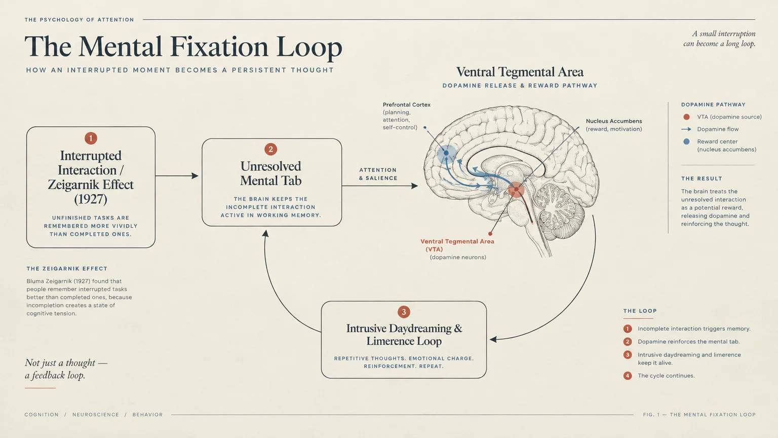 Flowchart diagram showing the mental fixation loop connecting the Zeigarnik effect to brain dopamine reward pathways.