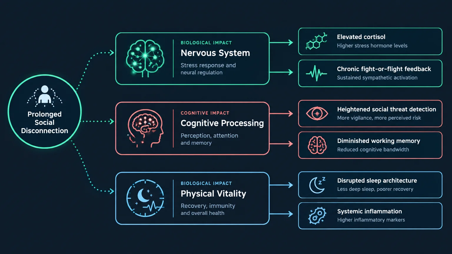 Diagram mapping prolonged social disconnection to impacts on the nervous system, cognitive processing, and physical vitality.