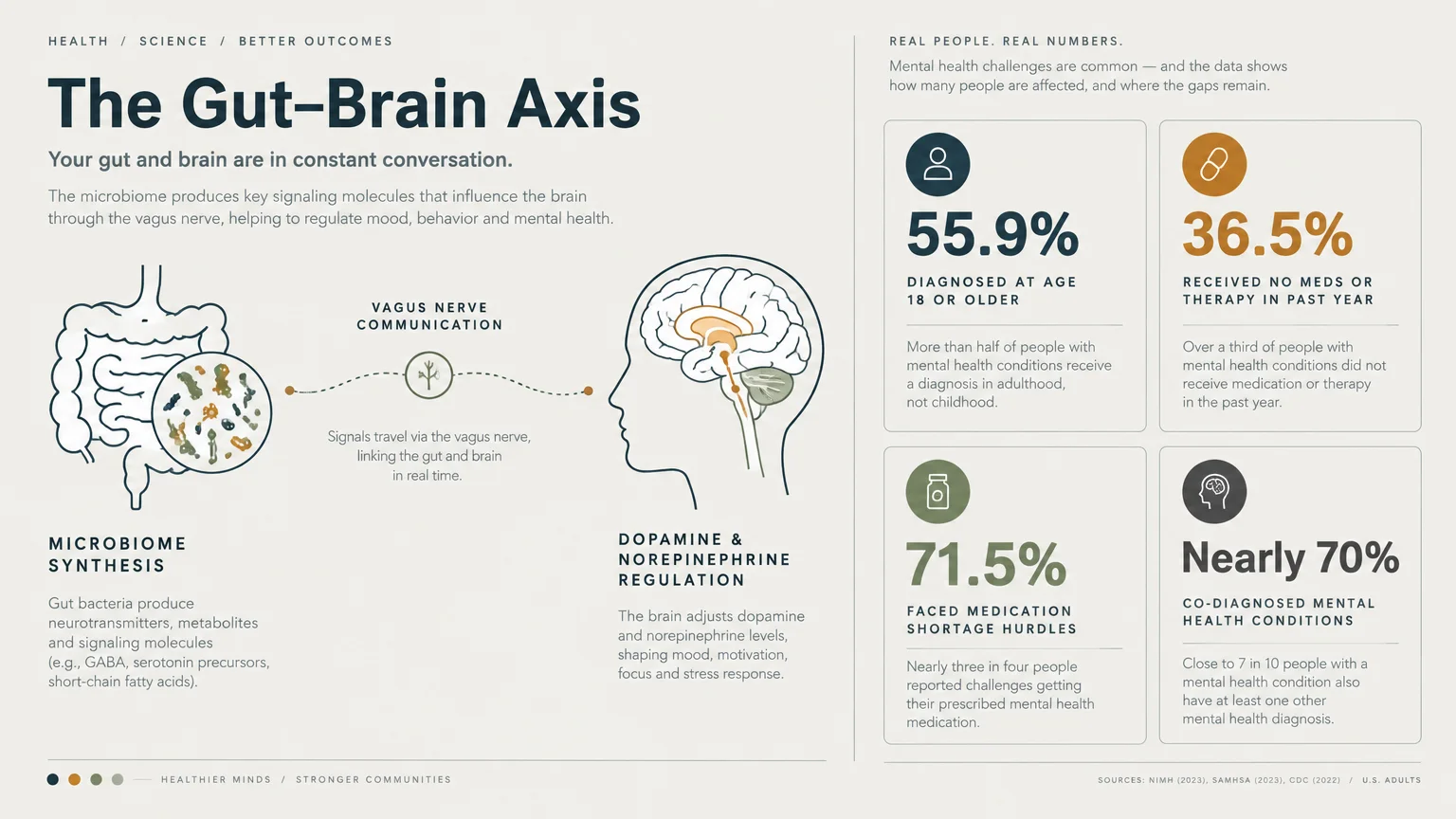 Infographic detailing the gut-brain axis alongside statistics on adult mental health diagnoses and medication shortages.
