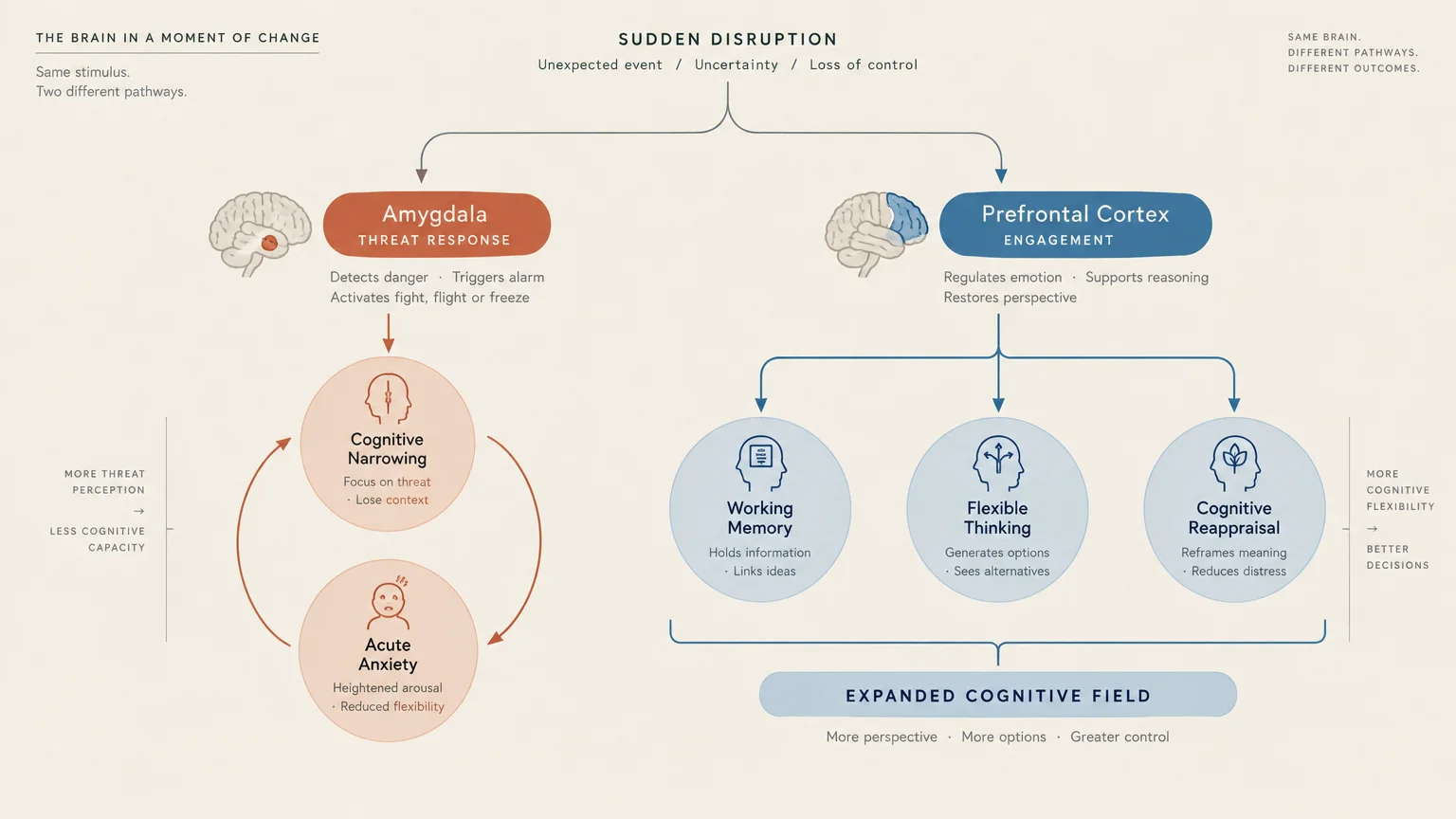 Diagram contrasting amygdala threat response and cognitive narrowing with prefrontal cortex engagement and expanded thinking.