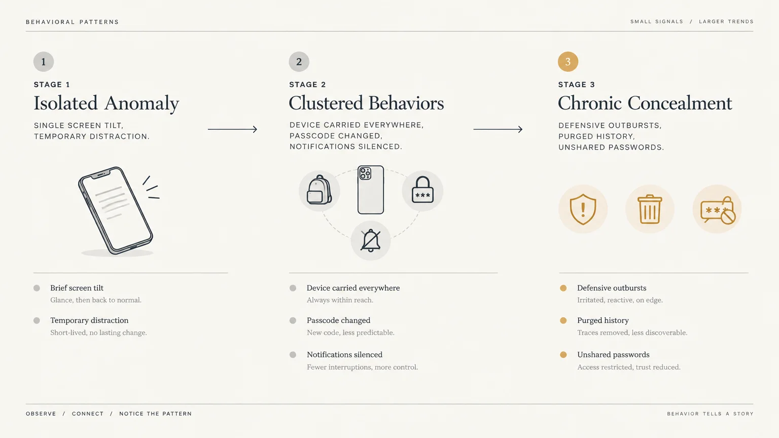 Diagram showing three stages of behavioral patterns from isolated anomaly to clustered behaviors and chronic concealment.